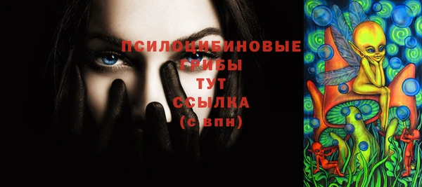гидра Кинешма