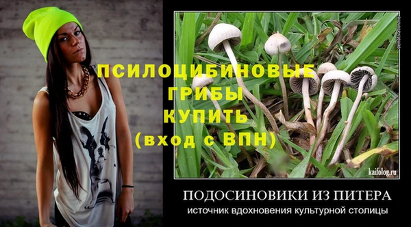 гидра Кинешма