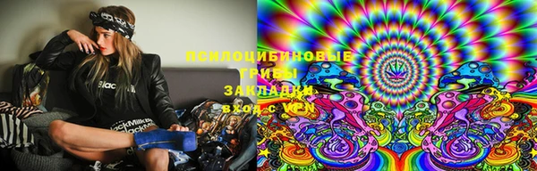 ешки Козловка