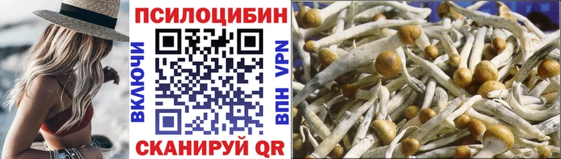 кракен ссылки  Боровичи  Галлюциногенные грибы мухоморы 