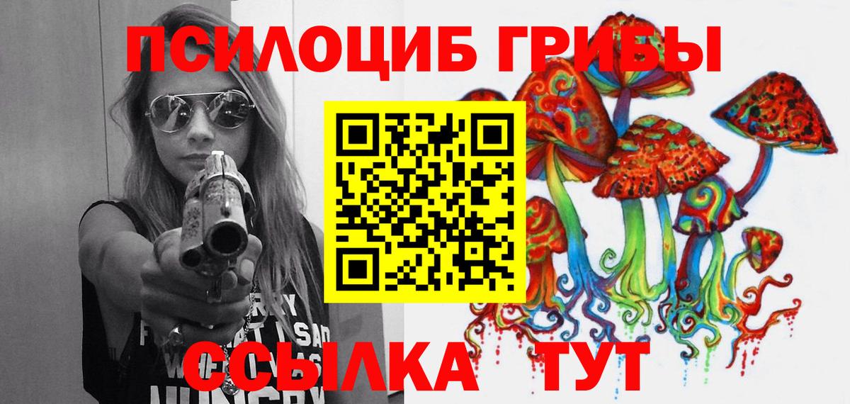 Галлюциногенные грибы Cubensis  Боровичи  Псилоцибиновые грибы Psilocybe 