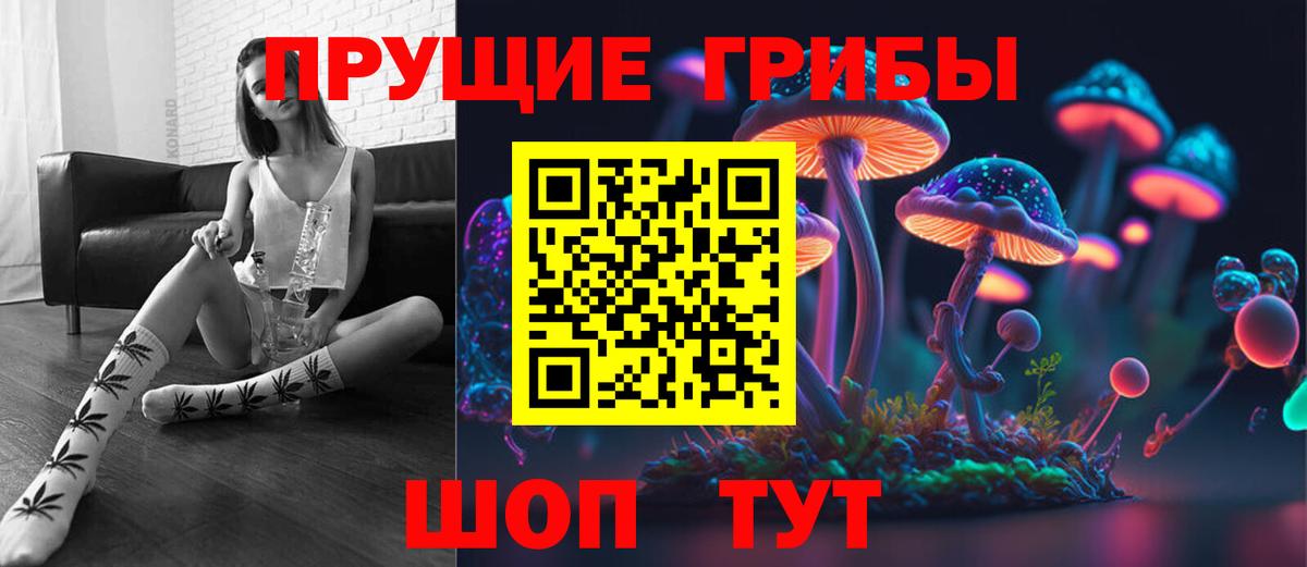 Галлюциногенные грибы Psilocybine cubensis Боровичи